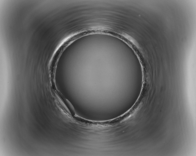 X0000086021022200704091110
