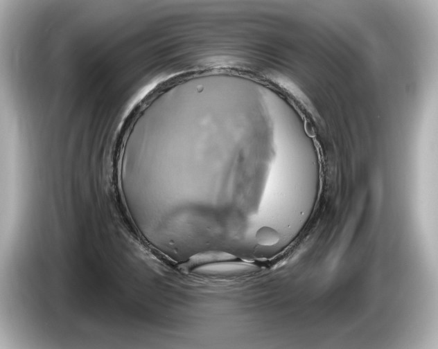 X0000086021023200704091110