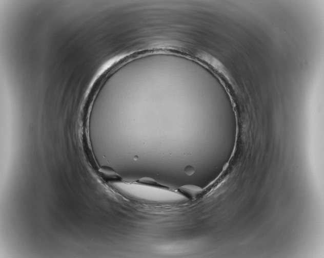 X0000086021024200704091110