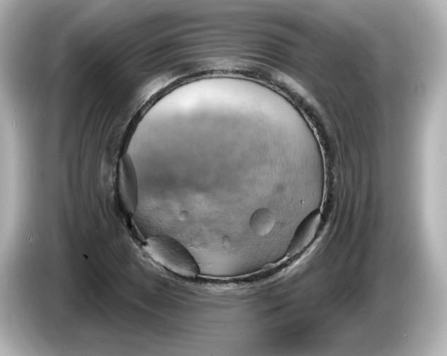 X0000086021025200704091110