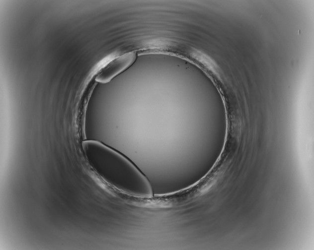 X0000086021026200704091110