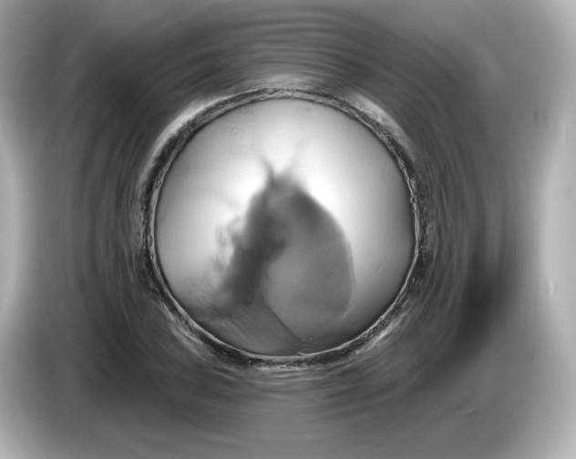 X0000086021027200704091110