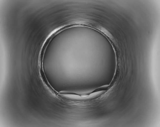 X0000086021028200704091110
