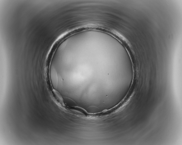 X0000086021029200704091110