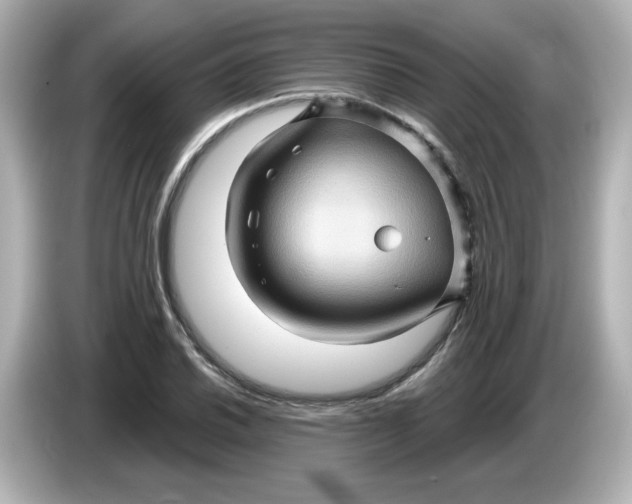 X0000086021030200704091110