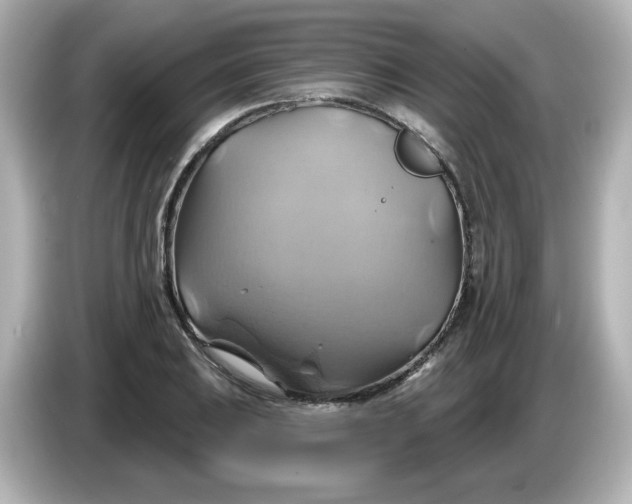 X0000086021031200704091110
