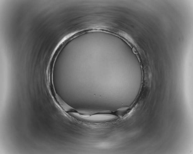 X0000086021032200704091110