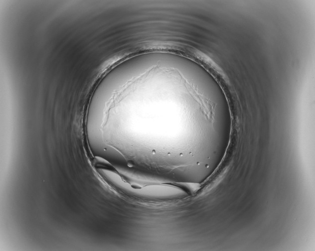 X0000086021033200704091110