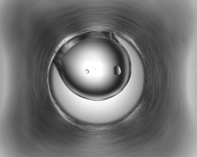 X0000086021034200704091110