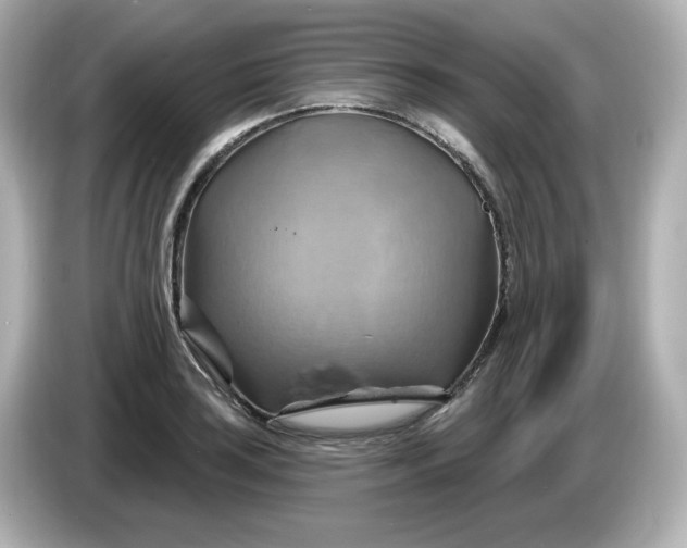 X0000086021035200704091110