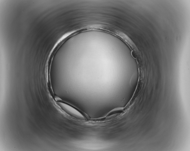 X0000086021036200704091110