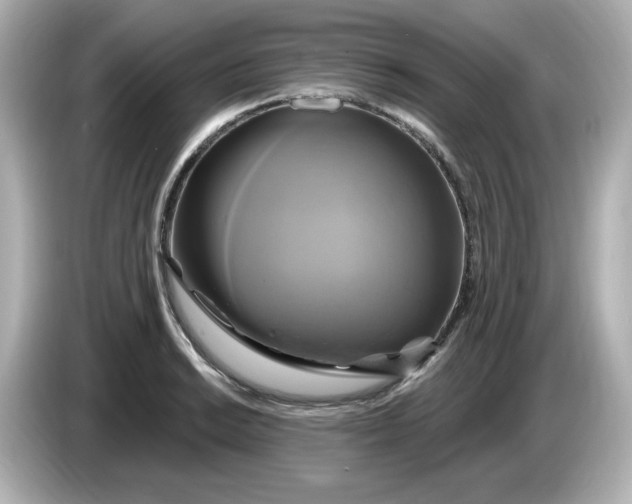 X0000086021038200704091110