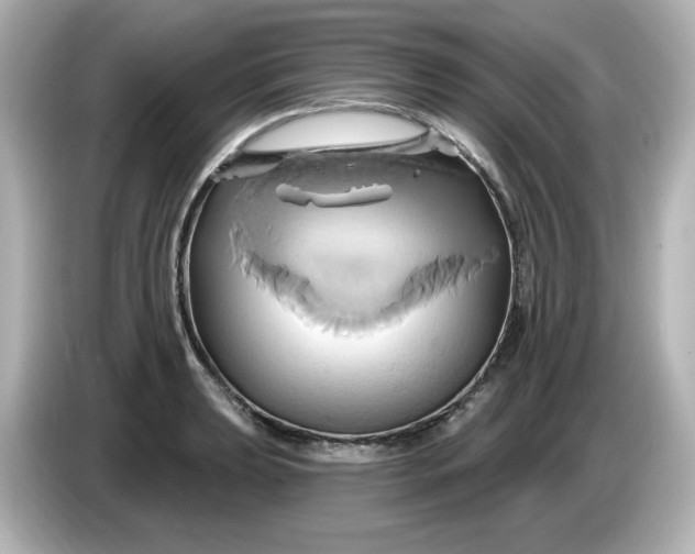 X0000086021039200704091110