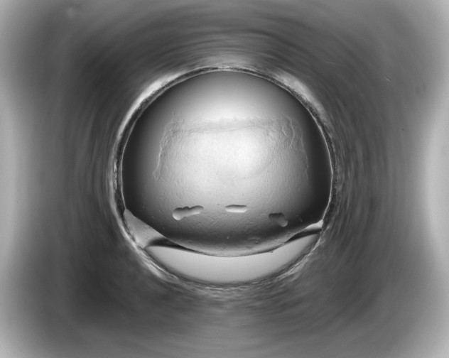 X0000086021040200704091110