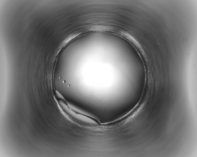 X0000086021041200704091110