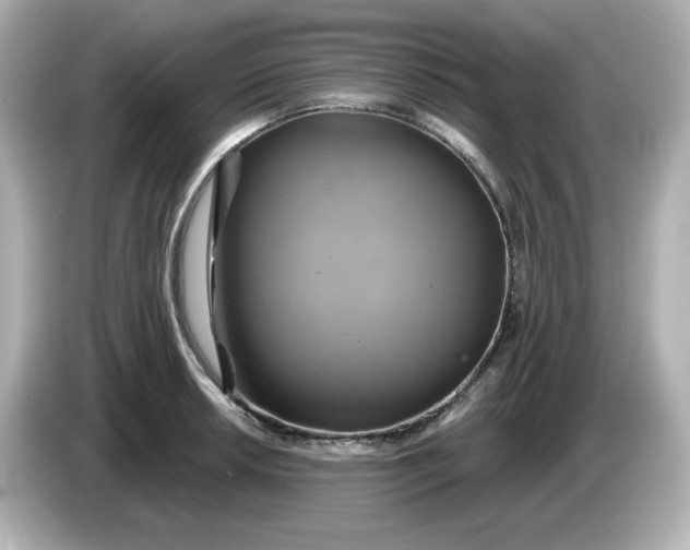 X0000086021042200704091110