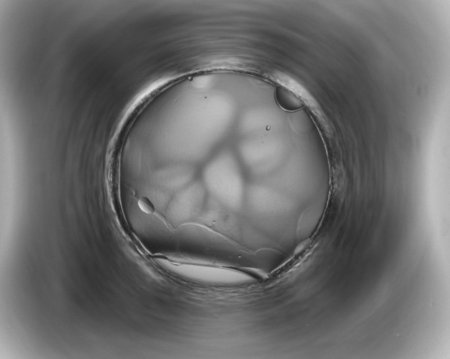 X0000086021043200704091110