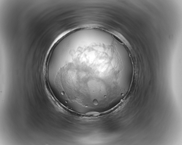X0000086021044200704091110