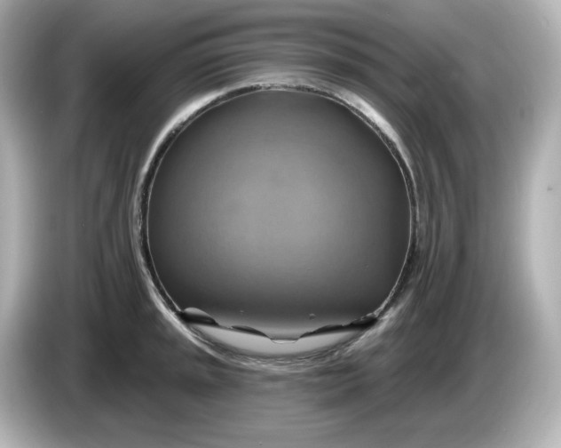 X0000086021045200704091110