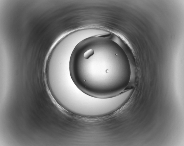 X0000086021046200704091110