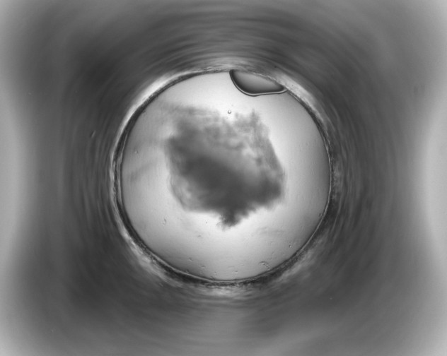 X0000086021047200704091110