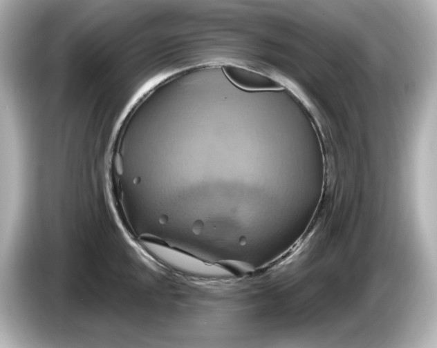 X0000086021048200704091110
