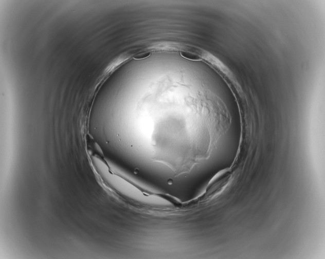 X0000086021049200704091110