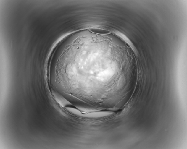 X0000086021051200704091110