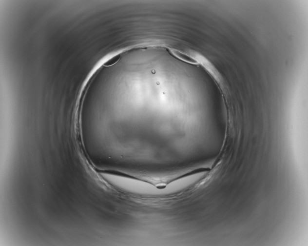 X0000086021052200704091110