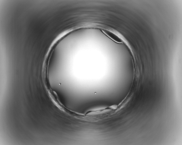 X0000086021053200704091110