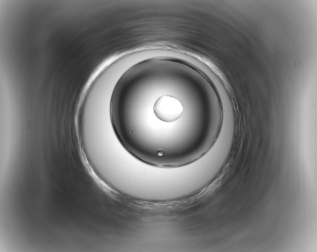 X0000086021054200704091110