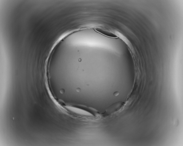 X0000086021055200704091110