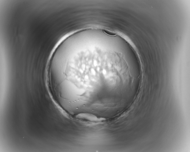 X0000086021056200704091110