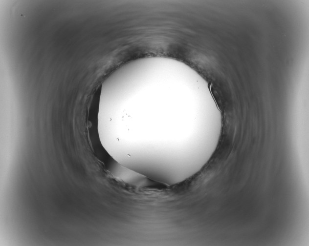 X0000086021057200704091109