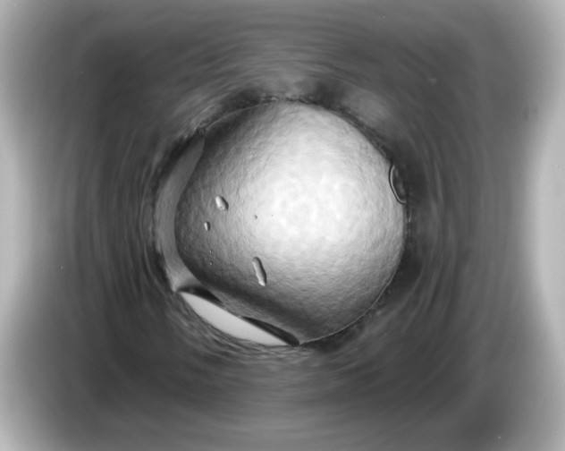 X0000086021058200704091109
