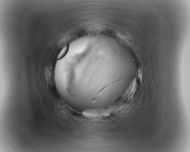 X0000086021059200704091109