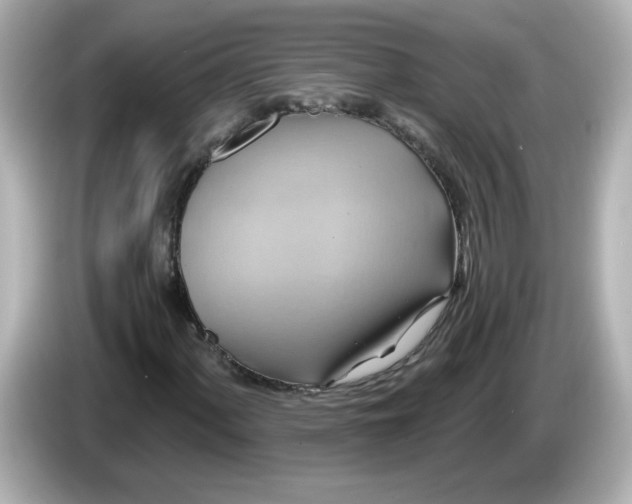 X0000086021060200704091109