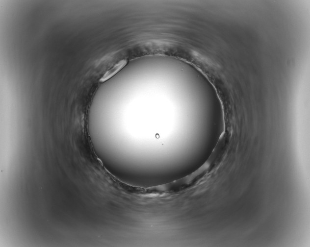 X0000086021061200704091109