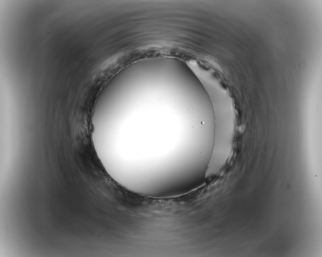 X0000086021062200704091109