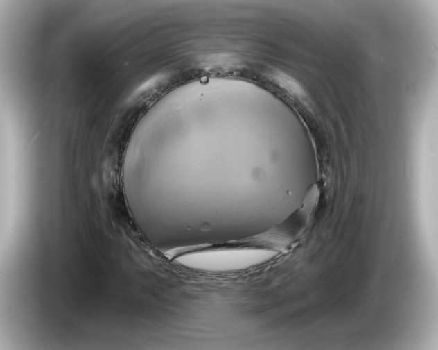X0000086021063200704091109