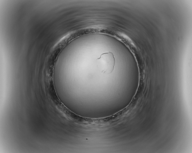 X0000086021064200704091109