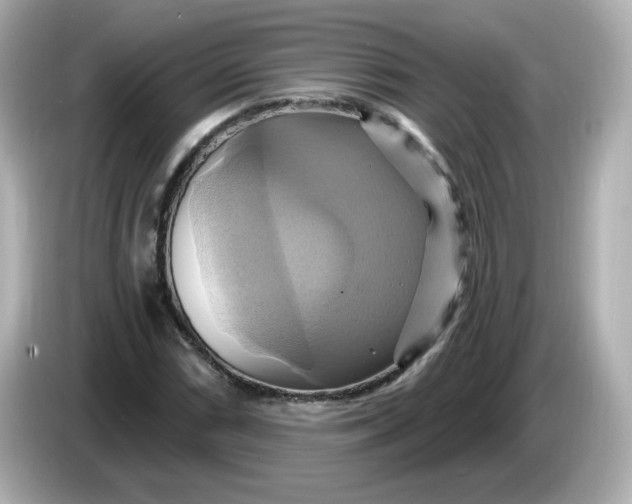 X0000086021066200704091109