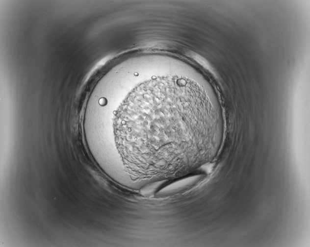 X0000086021067200704091109