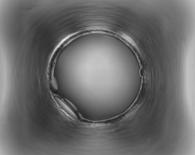 X0000086021068200704091109