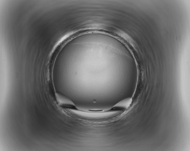 X0000086021069200704091109