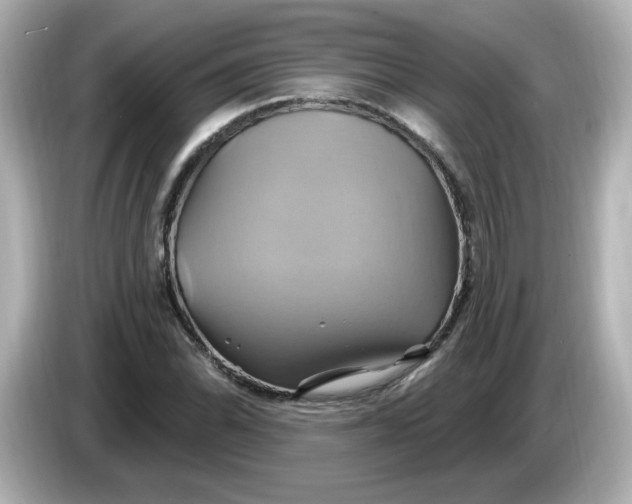 X0000086021070200704091109