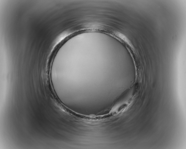 X0000086021071200704091109