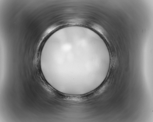 X0000086021074200704091109