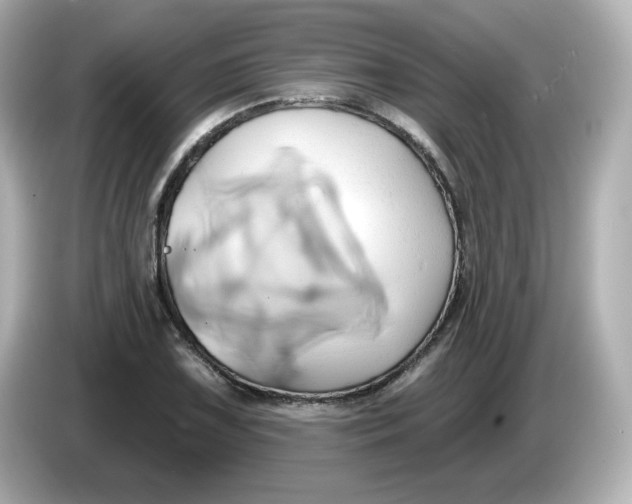 X0000086021075200704091109