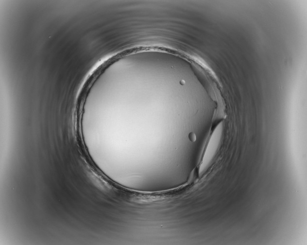 X0000086021076200704091109